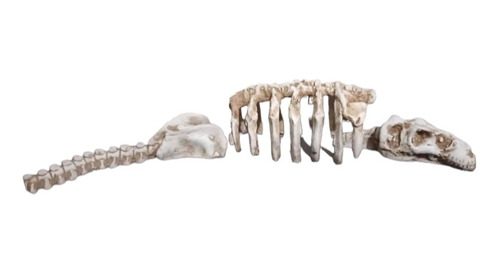 Figura Resina P/ Acuario Esqueleto Dinosaurio Mediano 42x8cm