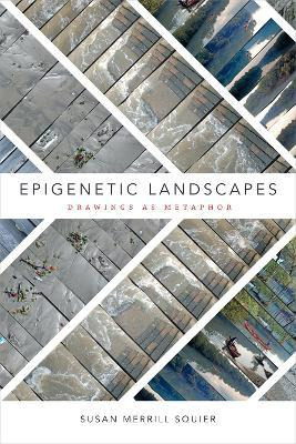 Libro Epigenetic Landscapes - Susan Merrill Squier