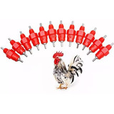 Kit 60 Bebederos Gallina, Pollos, Codorniz . Envío Gratis.