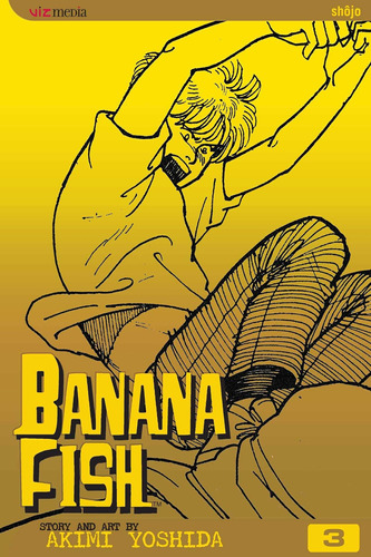 Libro: Banana Fish, Vol. 3 (3)