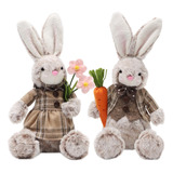 2 Pack Conejo De Pascua De Peluche, Conejos De Conejito...