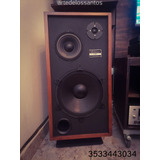 Bafles Audiosonic A 100 Edition Vinyl  Precio C/u Leer!