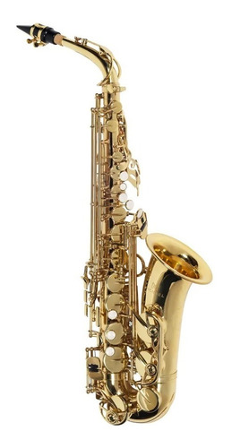 Saxofone Alto Michael Wasm30n