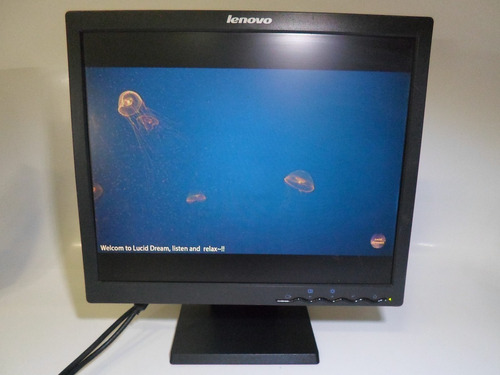 Monitor Lcd Lenovo 17  Mod. L171 9227-ac1 Quadrado
