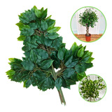 Kit 12 Galhos Folha De Ficus Artificial Decoração Folhagem