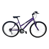 Bicicleta Fire Bird Mtb Lady 18 Velocidades Rodado 26