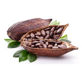 1.5 Kilos Semilla De Cacao Tostado Y Pelado -chiapas