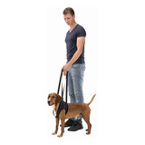 Andador Rehabiltacion Perro Displasia Cadera Trixie L/xl