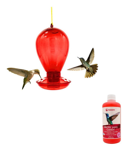 Bebedero Colibrí Picaflor Néctar Natural Pájaros Pack