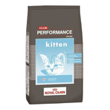 Royal Canin Club Performance Kitten 1.5kg Universal Pets