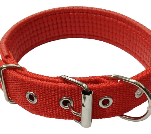 Collar Perro Grande Reforzado C/ Interior Soft 3cm Regulable