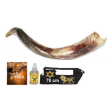 Shofar De Chifre Antilope + Brindes - De Israel #xs1