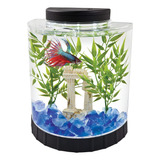 Pecera Con Luz Led Peces Betta Half Moon Betta Kit 4.150 Lts