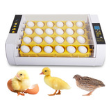 Incubadora De Huevos Con Pollo Para Incubar Huevos De Codorn