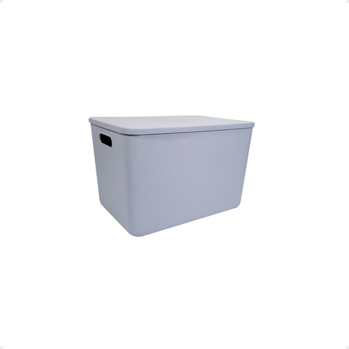 Canasto Organizador Plastico Grande Moderna 35x26x24 Cm Tapa