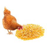 Alimento Maiz Partido Gallinas Palomas Quebrado Bolsa 4 Kg