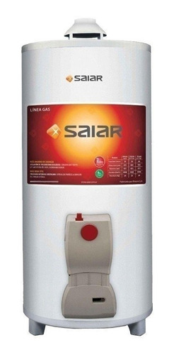 Termotanque Saiar De Rheem A Gas 50 Lts De Colgar Multigas