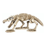 Esqueleto Dinosaurio 19x9.5x8.5cm Peceras (m.envio)