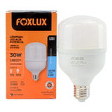 Lâmpada Alta Potência Foxlux 6500k 30w Bivolt Led90.26 Cor Da Luz Branco-frio 110v/220v