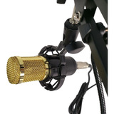 Microfone Condensador Bm800 Suporte De Microfone Espuma