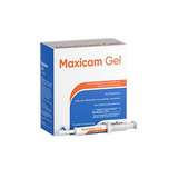 Maxicam Gel 30g Anti-inflamatório P/ Equinos - Ouro Fino