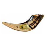 Shofar Chifre De Carneiro De Tocar Claro -israel 25-29 Cm