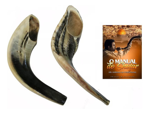 Shofar Chifre Carneiro De Tocar 35 A 39 Cm Toque Explosivo! 