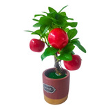 Mini Árvore Com Fruta Maçã Artificial Planta Decoração Casa