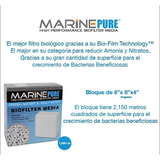 Marine Pure Bloque 8x8x4 , Filtracion Biologica Multiplicada