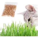 Juguete De Gato Cat Grass Hierba Gatera Catnip Pasto Bioline