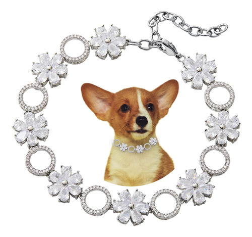 Collares Para Perros Pequeños, Medianos, Collares De Cadena 