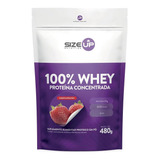 100% Whey Protein Pure - Proteína Concentrada 480g - Size Up