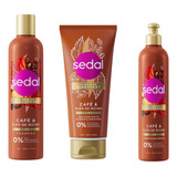 Kit Sedal Cafe Oleo De Ricino Shampoo-acondicionador-crema 