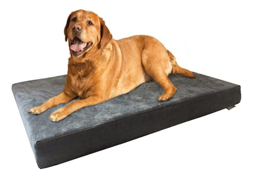  Memory Foam Dog Bed  Orthopedic Ultra Plush Mattress, ...