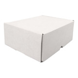 100 Mailbox 25x20x10 Cm Caja Para Envios Corrugado Blanco