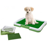 Baño Ecologico Para Mascotas Perros Puppy Potty Pad Tm