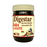 Digestar Jalea 300 G