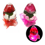 12 Rosa En Burbuja De Cristal Luz Led Colores San Valentin 