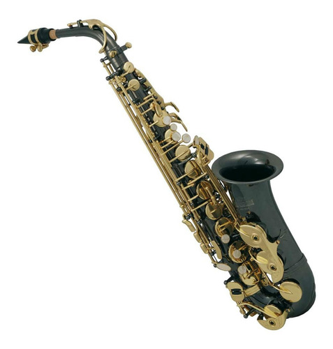 Saxofón Alto Con Tonalidad Eb Roy Benson As-202k 