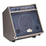 Amplificador Electroacustico Washburn Wa30 / Abregoaudio