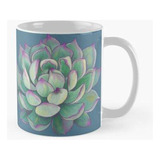 Taza Planta Suculenta Calidad Premium