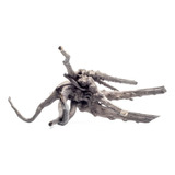 Black Forest Spiderwood 15-22cm Raíces Decorativas Acuario