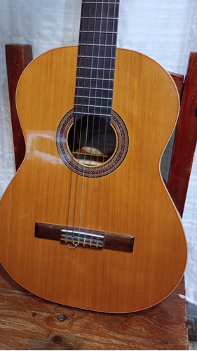 Guitarra Criolla Fonseca Usada