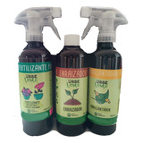 Kit Orgánico Anturios Y Violetas  Brillo, Raíz Fertilizante