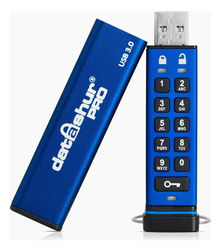 Ialmacenamiento De Datosashur Pro 4 Gb | Memoria Usb Cifrada