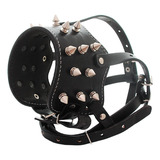 Focinheira De Couro Pitbull Spikes