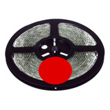 Tira 600 Led 5 Metros Doble Luminosa Contra Agua Ip65 12v 