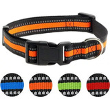 Collar Mascota Perro Ajustable Reflectivo Resistente 