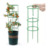 Soporte Plantas Enrredaderas Matas Rosas Orquideas Cultivo