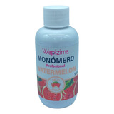 Monómero Profesional Wapizima 120ml / 04 Oz